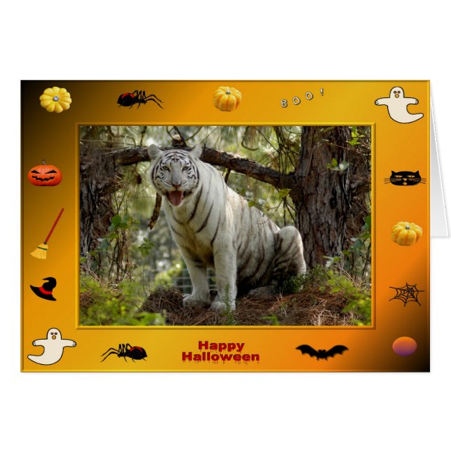 h-218-zabu (Voorkant Horizontaal)