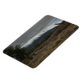 H.A.S. Arts magneet, afbeelding Bosque Magneet (Linkerzijde)