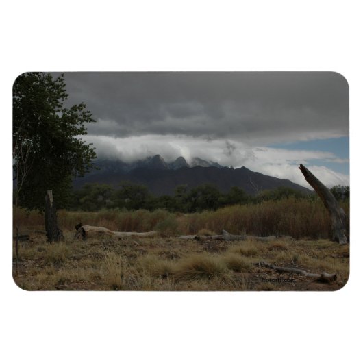 H.A.S. Arts magneet, afbeelding Bosque Magneet (Horizontaal)