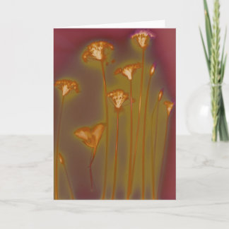 H.A.S. Het wenskaart van kunsten, afbeeldingLough Kaart