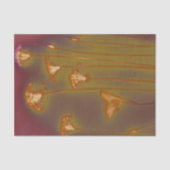 H.A.S. Kunststofpapier, hoest afbeelding Tissuepapier (Voorkant)