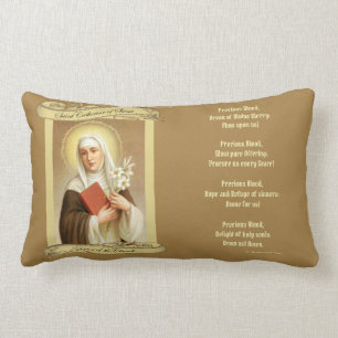 H. Catharina van Siena Kerkleraar Kussen