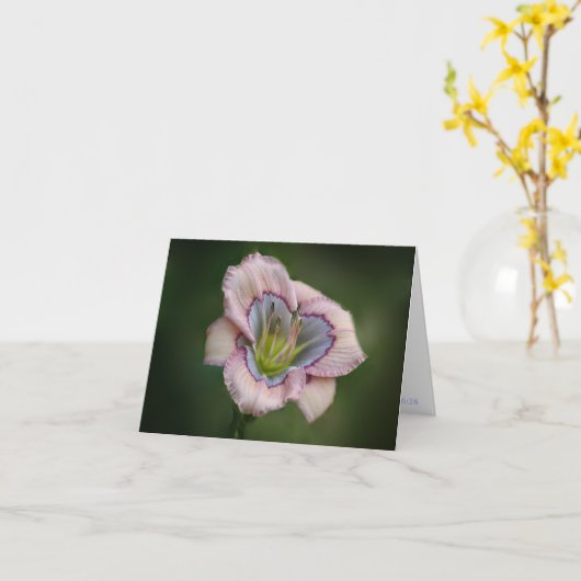 H. de hemelse Kaart van de Nota van Blauw (Gele Bloem)