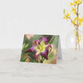 H. de violette Kaart van de Nota Sabrewing (Gele Bloem)