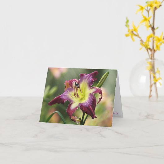 H. de violette Kaart van de Nota Sabrewing (Gele Bloem)