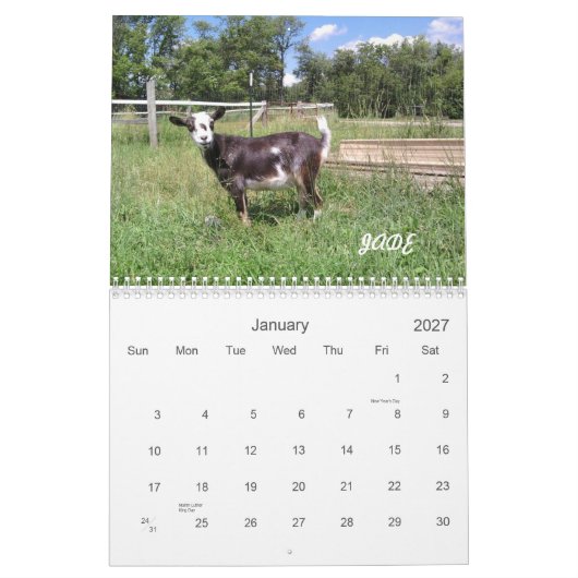 H.H. Garden Goats 2010 Agenda Kalender (Jan 2027)