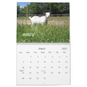 H.H. Garden Goats 2010 Agenda Kalender (Mar 2027)