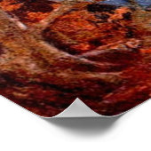 H J Ford  Illustration Poster (Hoek)