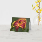 H. Jerry Nettles Note Card Kaart (Gele Bloem)