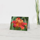 H. lagen van de Kaart van de Nota van de Liefde (Voorkant)