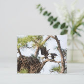 H & M-Briefkaart Briefkaart (Staand voorkant)