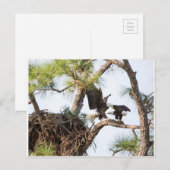 H & M-Briefkaart Briefkaart (Voorkant / Achterkant)