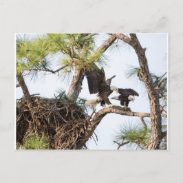 H & M-Briefkaart Briefkaart