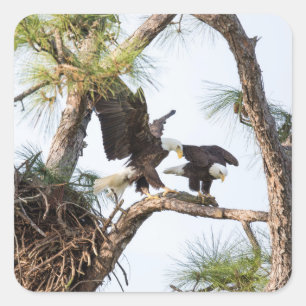 H & M-Stickers Vierkante Sticker