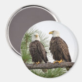 H&O cirkelmagneet (diverse beschikbare grootte) Magneet (Voorkant / Achterkant)