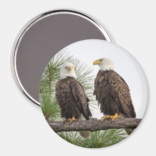 H&O cirkelmagneet (diverse beschikbare grootte) Magneet (Voorkant / Achterkant)