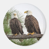 H&O cirkelmagneet (diverse beschikbare grootte) Magneet (Voorkant)