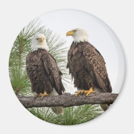 H&O cirkelmagneet (diverse beschikbare grootte) Magneet