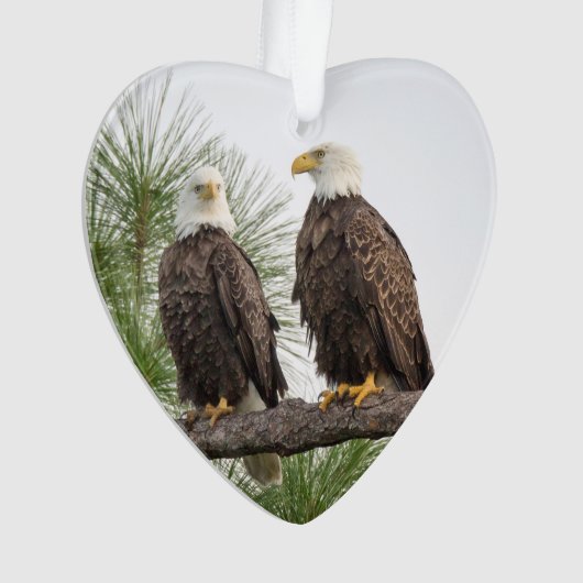 H&O Logo Holiday Ornament (voorkant)