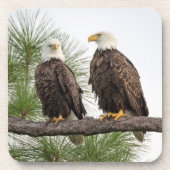 H&O-Onderzetter instellen Onderzetter (Voorkant)