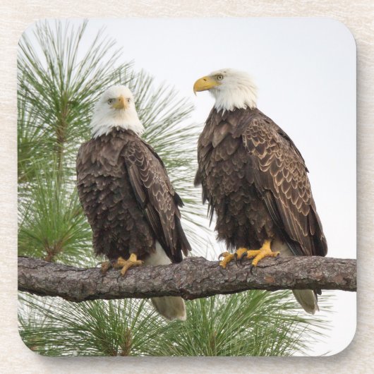 H&O-Onderzetter instellen Onderzetter (Voorkant)