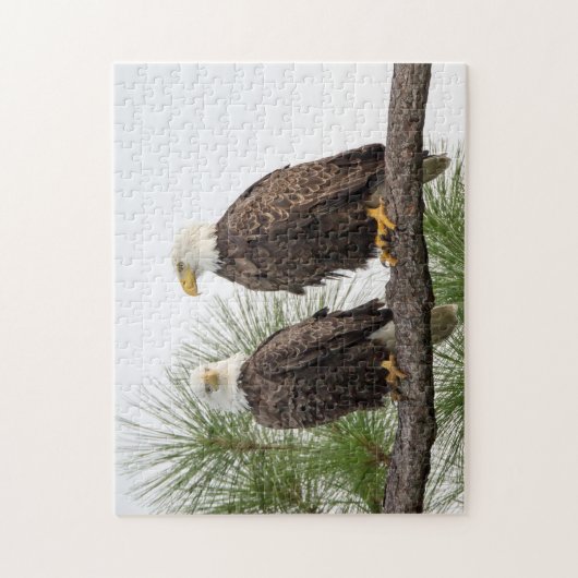 H&O Puzzle Legpuzzel (Verticaal)