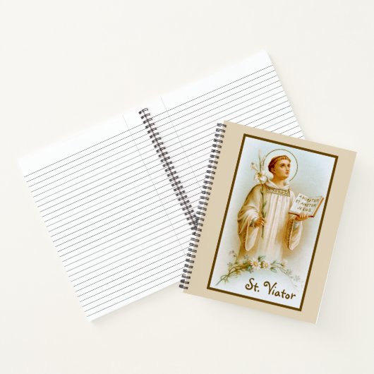 H. Viator van Lyon de catechist (BF 02) Notitieboek (Binnen)