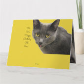 Ha ha oude gelukkige verjaardag kaart (Achterkant)