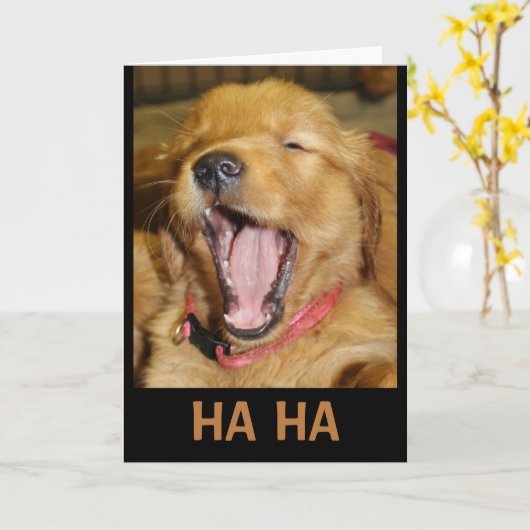 HA Je bent ouder dan ik die puppy lacht. Kaart (Gele Bloem)