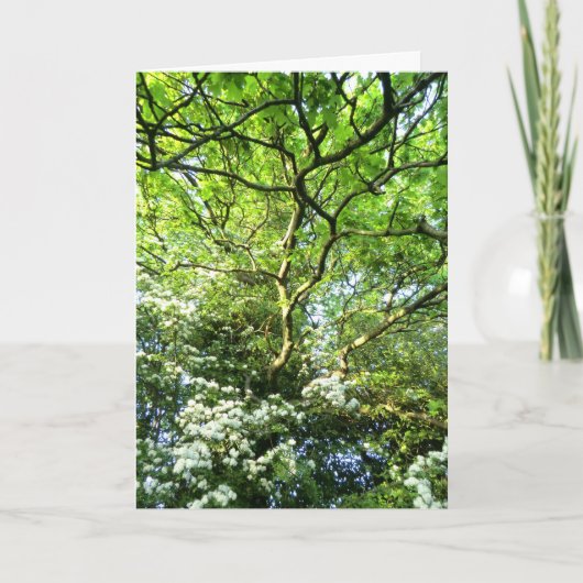 Haagdoorn en Eiken Kaart Handfasting (Voorkant)