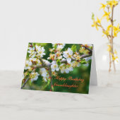 Haagdoorn van de Lente van de Kleindochter van de Kaart (Gele Bloem)