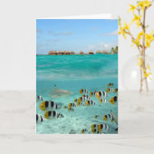 Haai die het wenskaart van vlindervissen kaart (Gele Bloem)