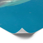 Haai die onder water zwemt poster (Hoek)