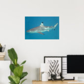 Haai die onder water zwemt poster (Thuiskantoor)