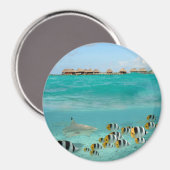 Haai die op vis jaagt, Bora Bora lagune ronde magn Magneet (Voorkant / Achterkant)