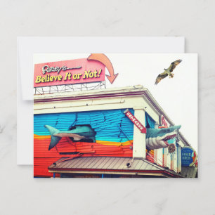 Haai en Visarend Briefkaart