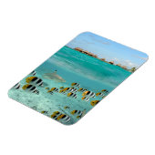 Haai en vissen in Bora Bora verticale magneet (Linkerzijde)