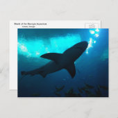 Haai in het Georgia Aquarium Briefkaart (Voorkant / Achterkant)