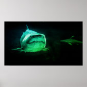 Haai, Jaws Poster (Voorkant)