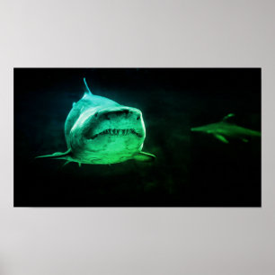 Haai, Jaws Poster