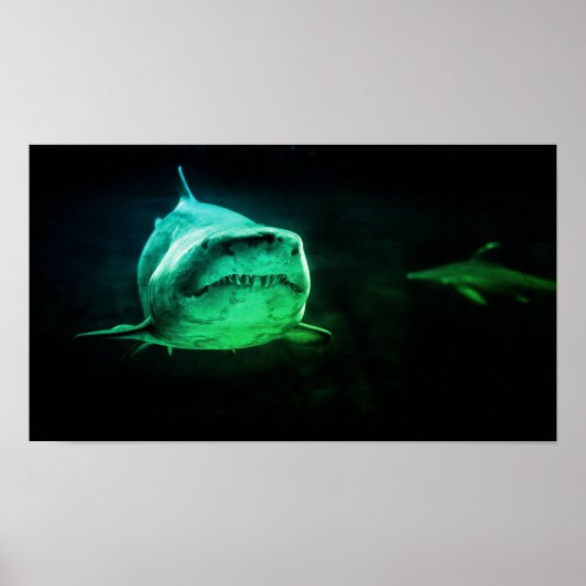 Haai, Jaws Poster (Voorkant)