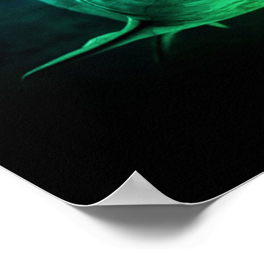 Haai, Jaws Poster (Hoek)