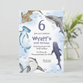 Haai,  kaart (Staand voorkant)