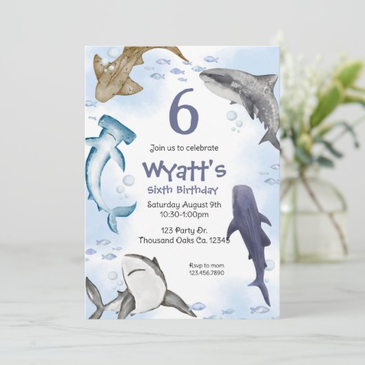 Haai,  kaart (Staand voorkant)