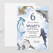 Haai,  kaart (Voorkant / Achterkant)