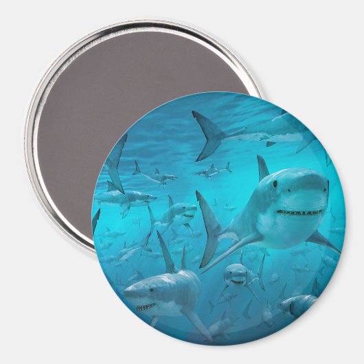 haai magneet (Voorkant / Achterkant)