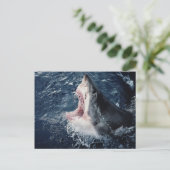Haai met open mond van bovenaf briefkaart (Staand voorkant)