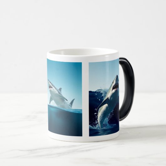 Haai mok (Voorkant rechts)