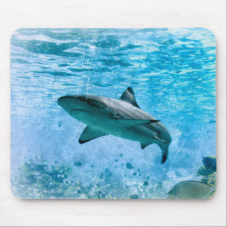  haai Mousepad Muismat