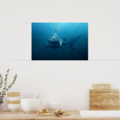 Haai onder water poster (Keuken)